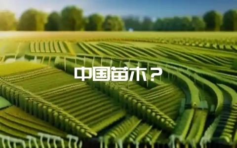 中国苗木？-会东网