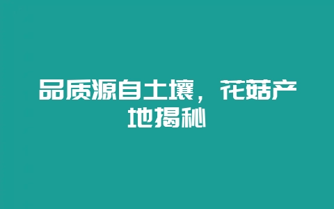 品质源自土壤，花菇产地揭秘-会东网