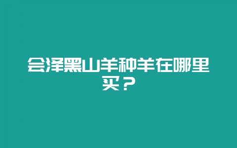 会泽黑山羊种羊在哪里买?-会东网
