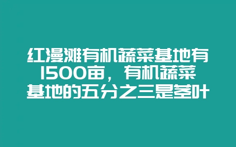 红漫滩有机蔬菜基地有1500亩,有机蔬菜基地的五分之三是茎叶类蔬菜,茎叶类蔬菜的三分之一是油麦菜。-会东网