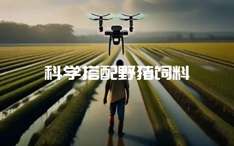 科学搭配野猪饲料-会东网