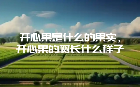 开心果是什么的果实，开心果的树长什么样子-会东网