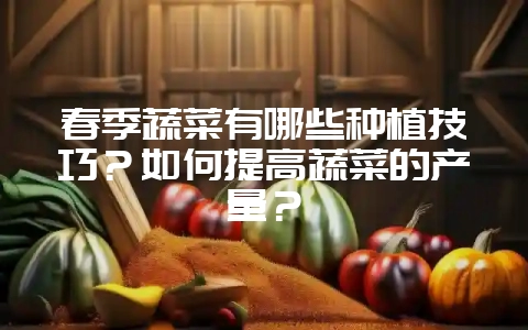 春季蔬菜有哪些种植技巧？如何提高蔬菜的产量？-会东网