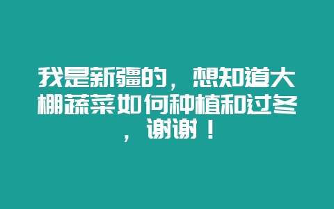 我是新疆的,想知道大棚蔬菜如何种植和过冬,谢谢!-会东网