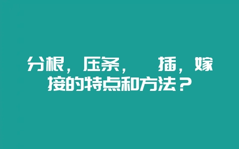 分根,压条,扦插,嫁接的特点和方法?-会东网