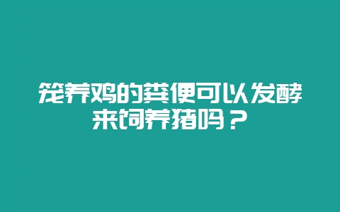 笼养鸡的粪便可以发酵来饲养猪吗?插图 笼养鸡的粪便可以发酵来饲养猪吗?插图