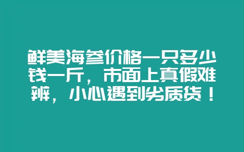 鲜美海参价格一只多少钱一斤，市面上真假难辨，小心遇到劣质货！-会东网