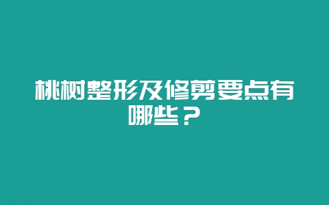 桃树整形及修剪要点有哪些？-会东网
