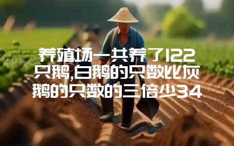 养殖场一共养了122只鹅,白鹅的只数比灰鹅的只数的三倍少34只,白鹅多少只?-会东网