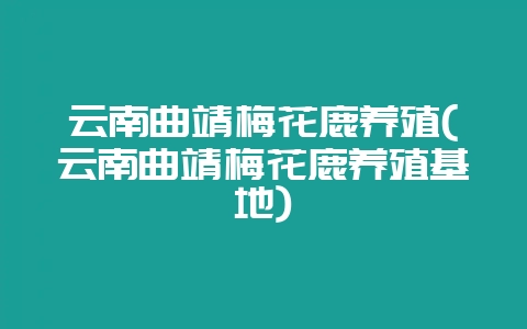 云南曲靖梅花鹿养殖(云南曲靖梅花鹿养殖基地)-会东网