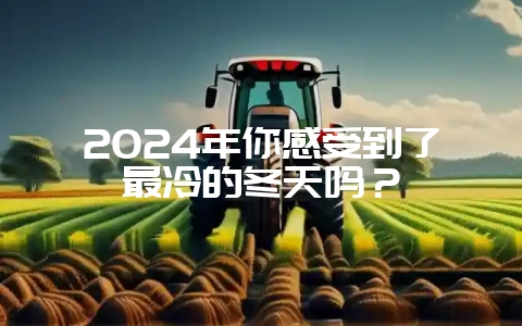 2024年你感受到了最冷的冬天吗？-会东网