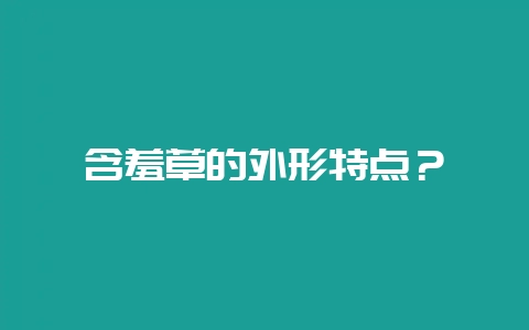 含羞草的外形特点?-会东网