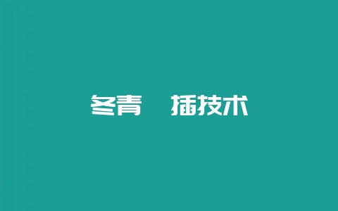 冬青扦插技术-会东网