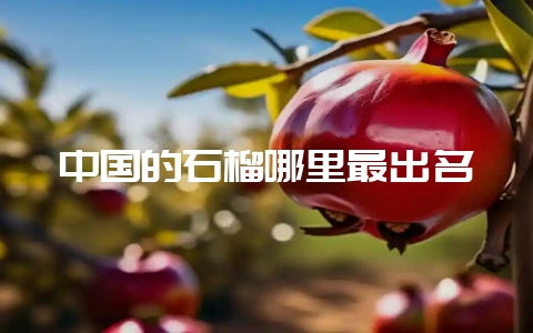 中国的石榴哪里最出名-会东网