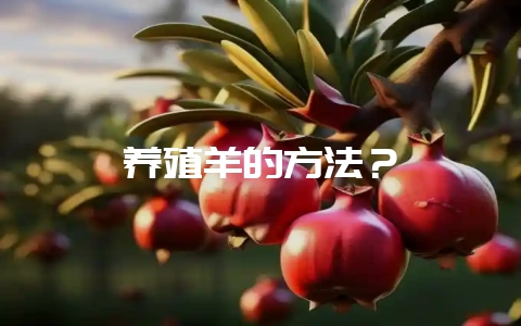养殖羊的方法？-会东网
