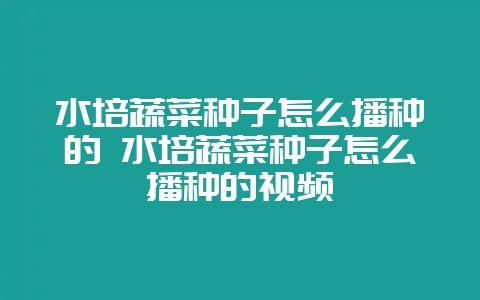 水培蔬菜种子怎么播种的 水培蔬菜种子怎么播种的视频-会东网