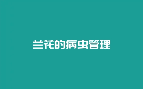 兰花的病虫管理-会东网