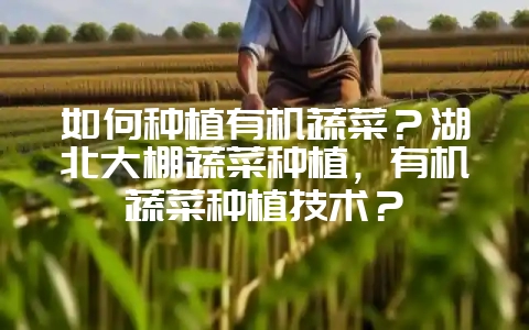 图片[1]-如何种植有机蔬菜？湖北大棚蔬菜种植，有机蔬菜种植技术？-会东网