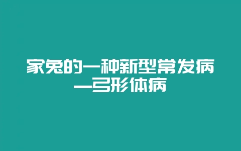 家兔的一种新型常发病----弓形体病-会东网