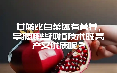 甘蓝比白菜还有营养，掌握哪些种植技术既高产又优质呢？-会东网