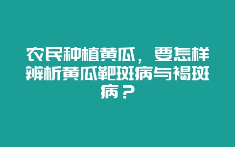 农民种植黄瓜，要怎样辨析黄瓜靶斑病与褐斑病？-会东网