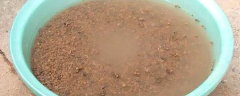 煤渣泡一天可以种花吗-会东网