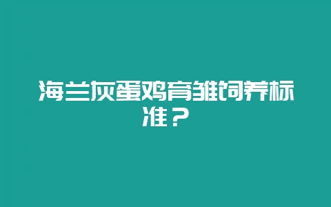 海兰灰蛋鸡育雏饲养标准？-会东网