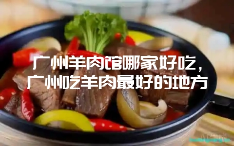 广州羊肉馆哪家好吃，广州吃羊肉最好的地方-会东网