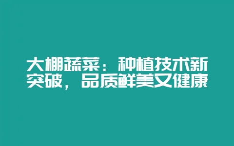 大棚蔬菜:种植技术新突破,品质鲜美又健康-会东网