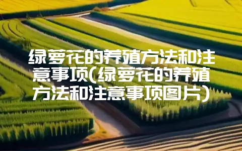 绿萝花的养殖方法和注意事项(绿萝花的养殖方法和注意事项图片)-会东网