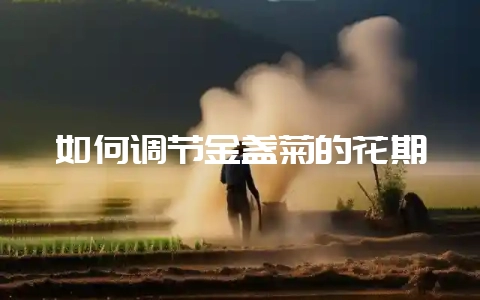 如何调节金盏菊的花期-会东网