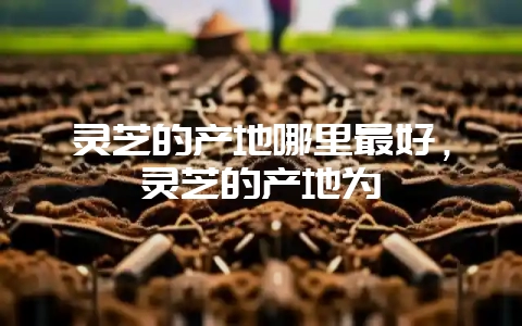 灵芝的产地哪里最好，灵芝的产地为-会东网