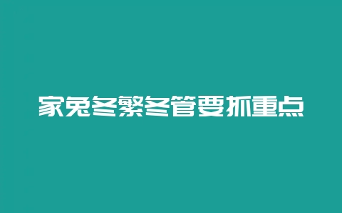 家兔冬繁冬管要抓重点-会东网