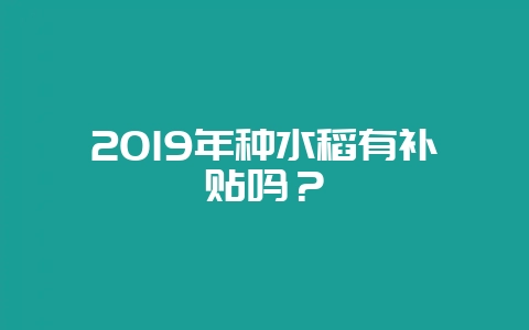 2019年种水稻有补贴吗？-会东网
