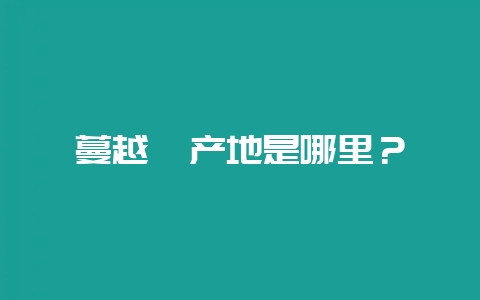 蔓越莓产地是哪里?-会东网