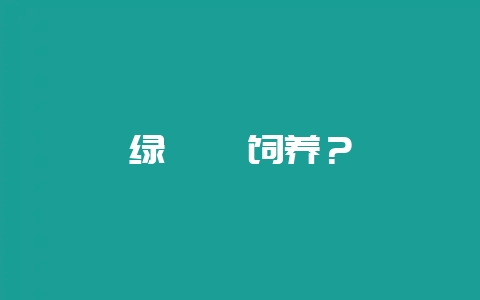 绿鬣蜥饲养？-会东网