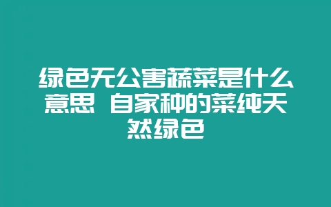 绿色无公害蔬菜是什么意思 自家种的菜纯天然绿色-会东网