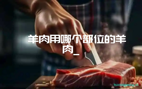 炖羊肉用哪个部位的羊肉_插图 炖羊肉用哪个部位的羊肉_插图