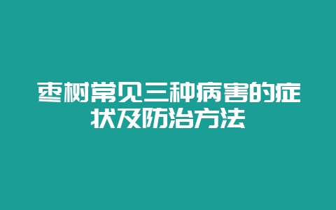 枣树常见三种病害的症状及防治方法-会东网