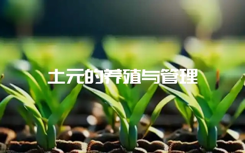 土元的养殖与管理-会东网