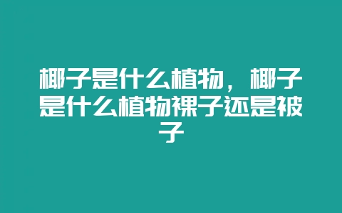 椰子是什么植物，椰子是什么植物裸子还是被子-会东网