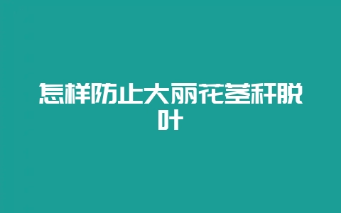 怎样防止大丽花茎秆脱叶-会东网