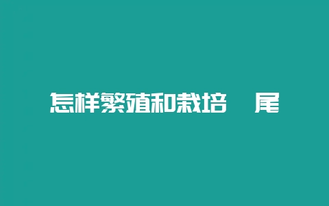 怎样繁殖和栽培鸢尾-会东网