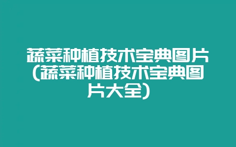 蔬菜种植技术宝典图片(蔬菜种植技术宝典图片大全)-会东网
