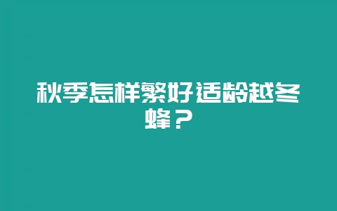 秋季怎样繁好适龄越冬蜂？-会东网