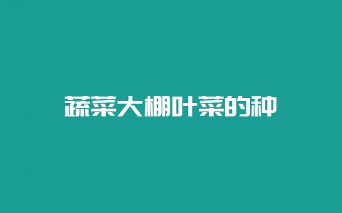 蔬菜大棚叶菜的种稙-会东网