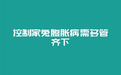 控制家兔腹胀病需多管齐下-会东网