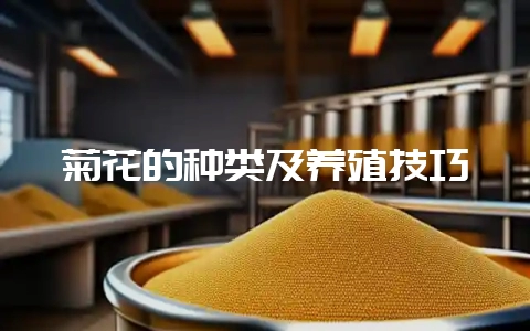 菊花的种类及养殖技巧-会东网