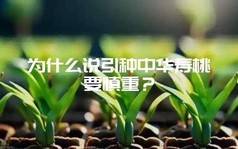 为什么说引种中华寿桃要慎重？-会东网