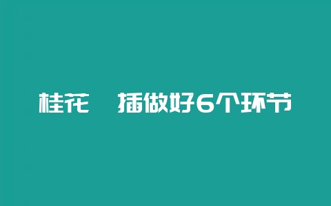 桂花扦插做好6个环节-会东网